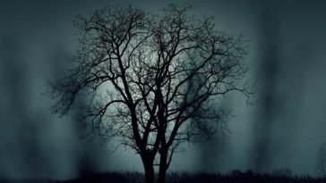 best mystry novels