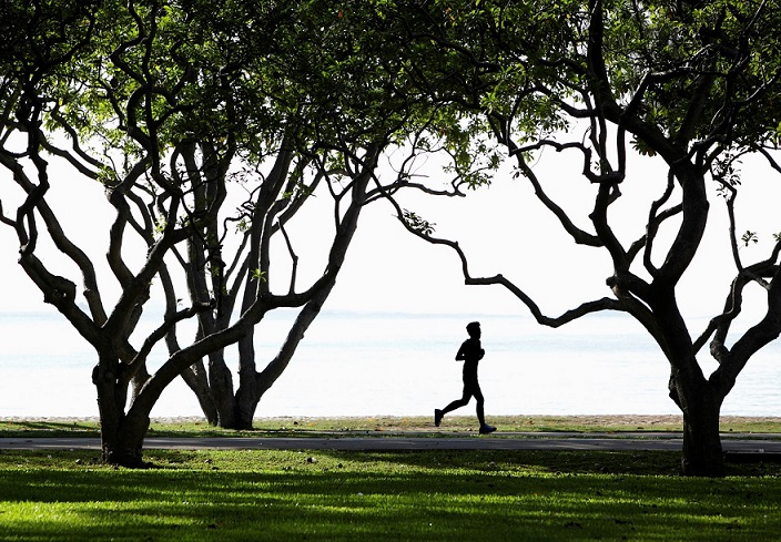 Man jogging in park by the ocean